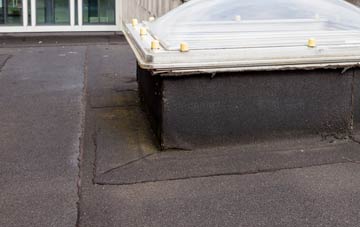 disadvantages of Leaves Green flat roofs